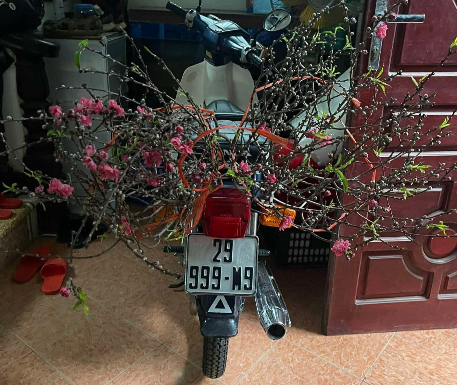 f92ff9b2 6ee4 4edc ac0a c2a98558a39f.jpg