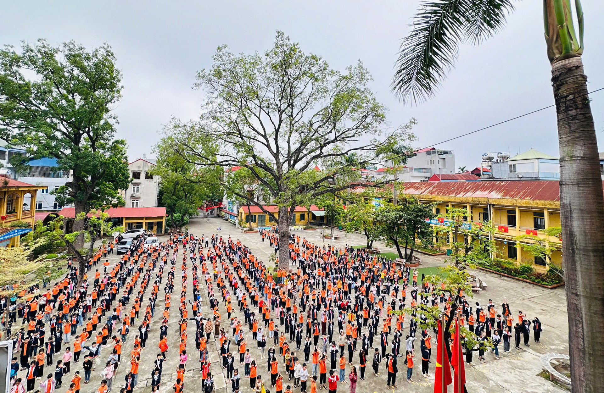 tieu học trung nhi.jpg