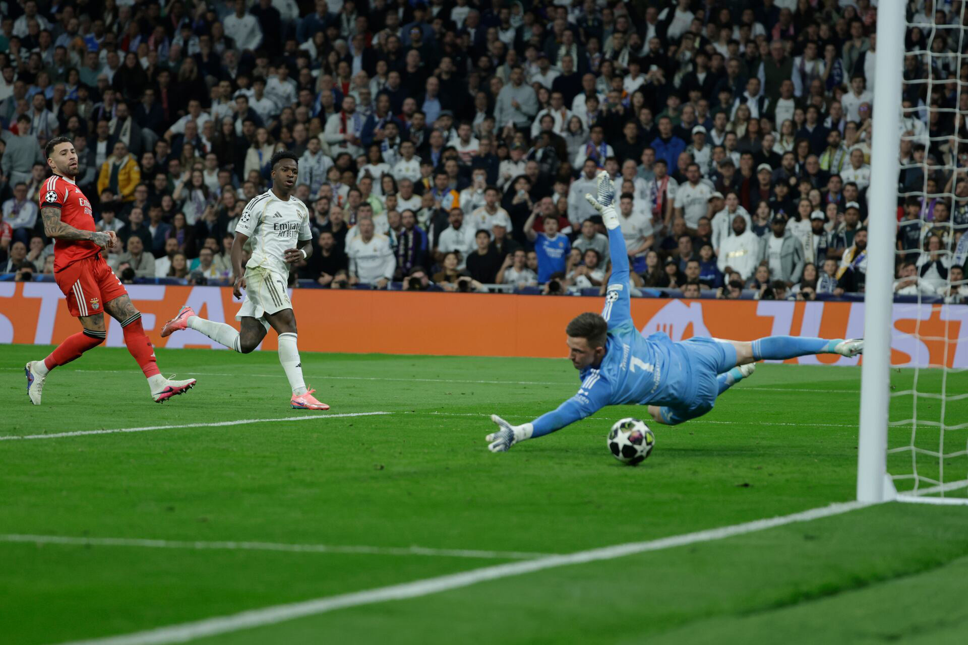 Vinicius Real Madrid Benfica.jpg