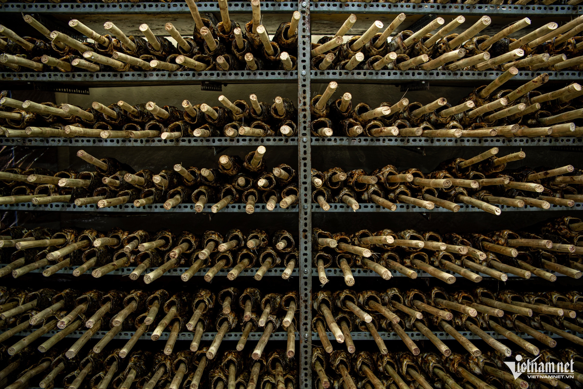 W-Thủ phủ cá lóc tại TPHCM Tuấn Hùng 22.jpg