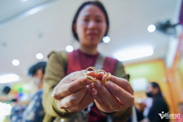 W-via than tai TPHCM (2) 2.jpg