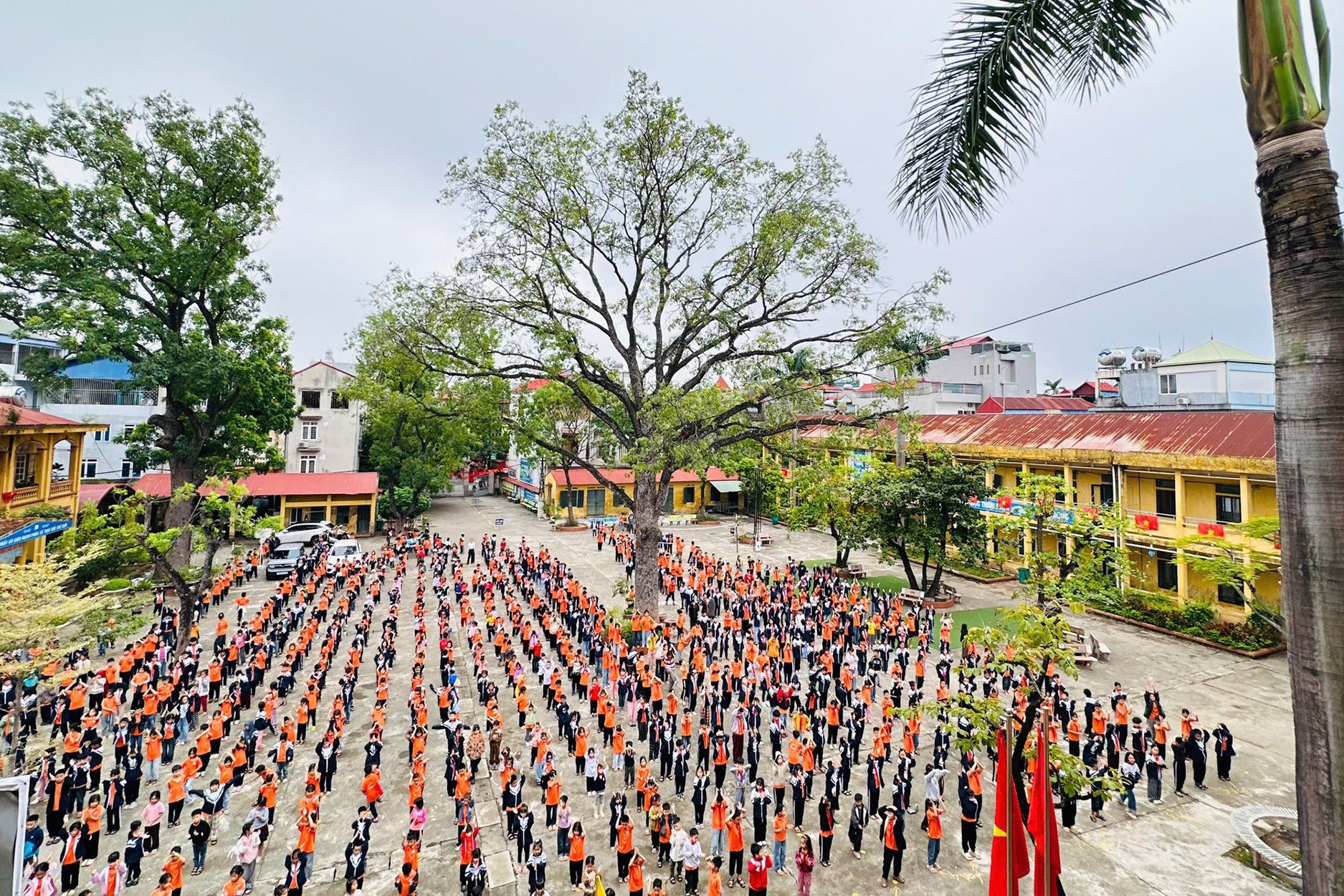  Xác minh thông tin giáo viên phạt học sinh liếm đất 