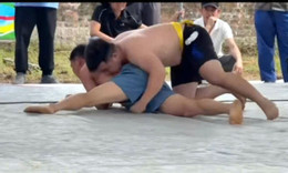 055686d1 2338 4240 b34f 68b2fe5303ec.jpg