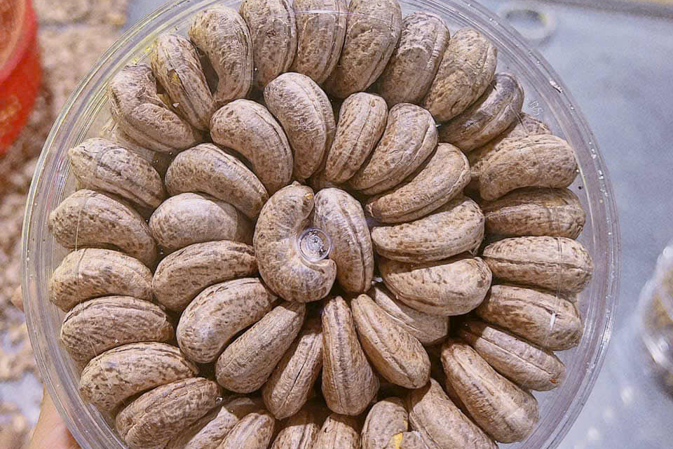 2 tác hại khi ăn hạt điều ít ai biết