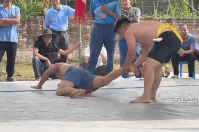 Đô vật tử vong sau chấn thương tại hội vật Kim Anh