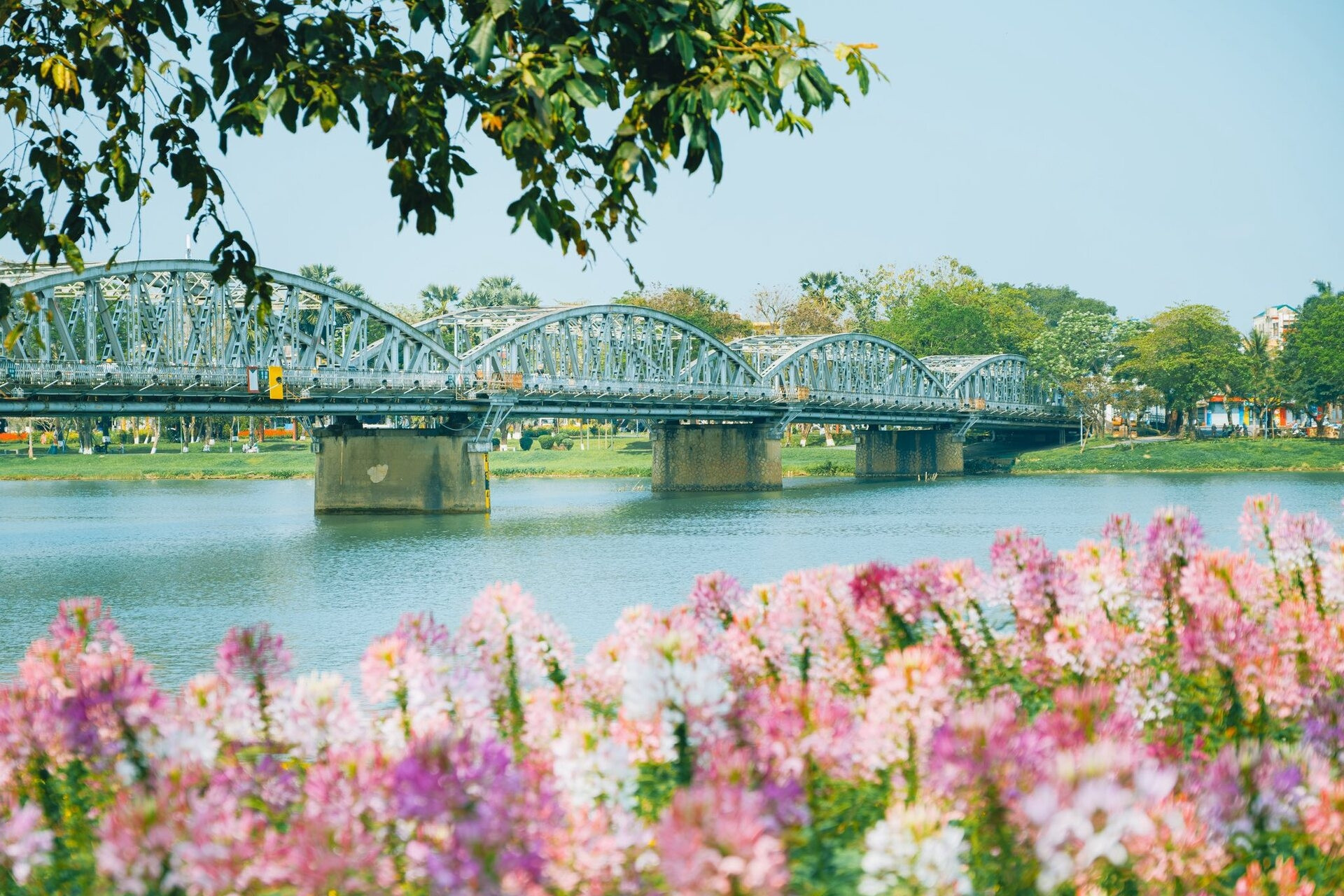 Thành phố ở miền Trung vào mùa du lịch lý tưởng, 'góc nào cũng đẹp'