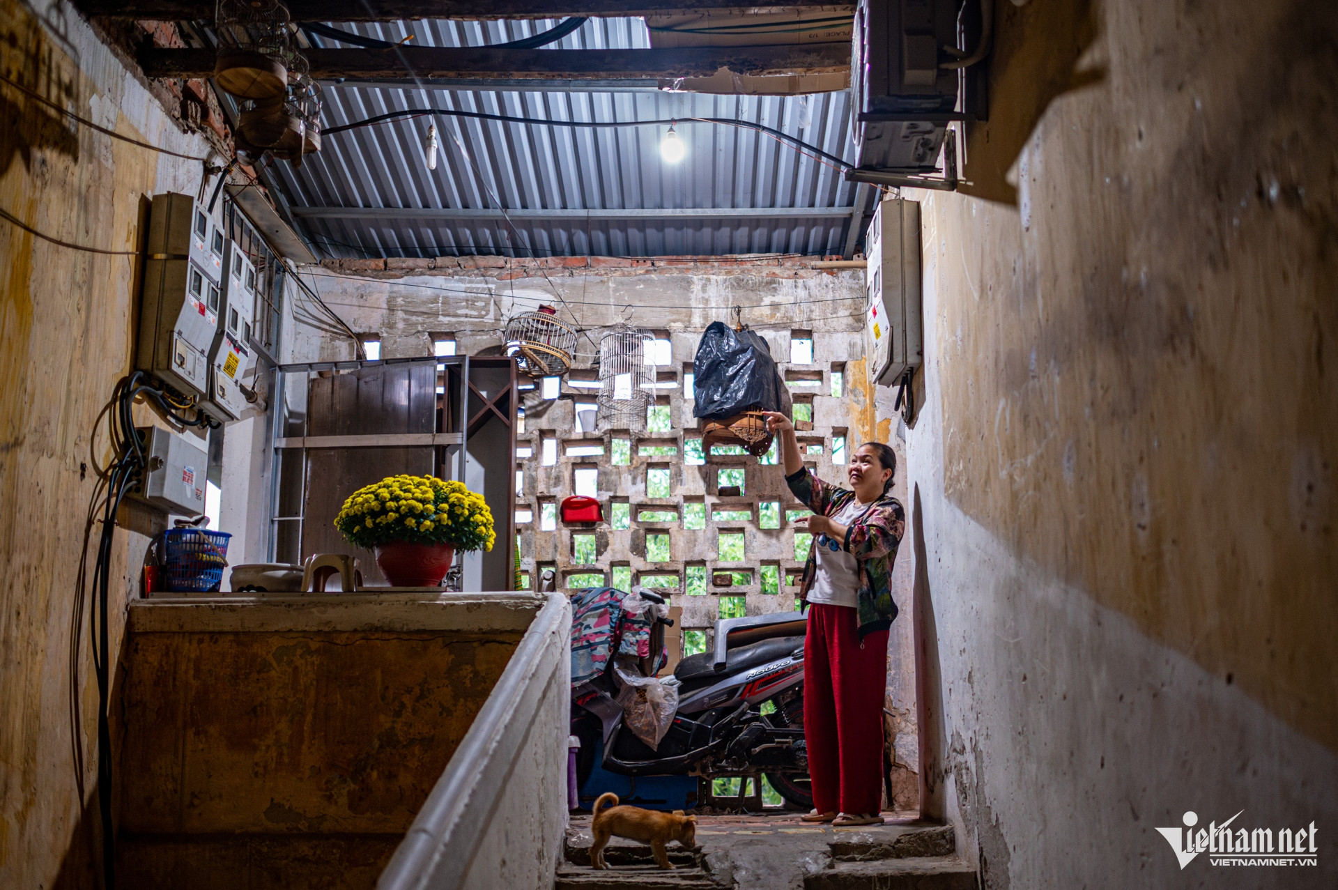 W-Tập Thể xuống cấp_ xây chung cư (4).jpg