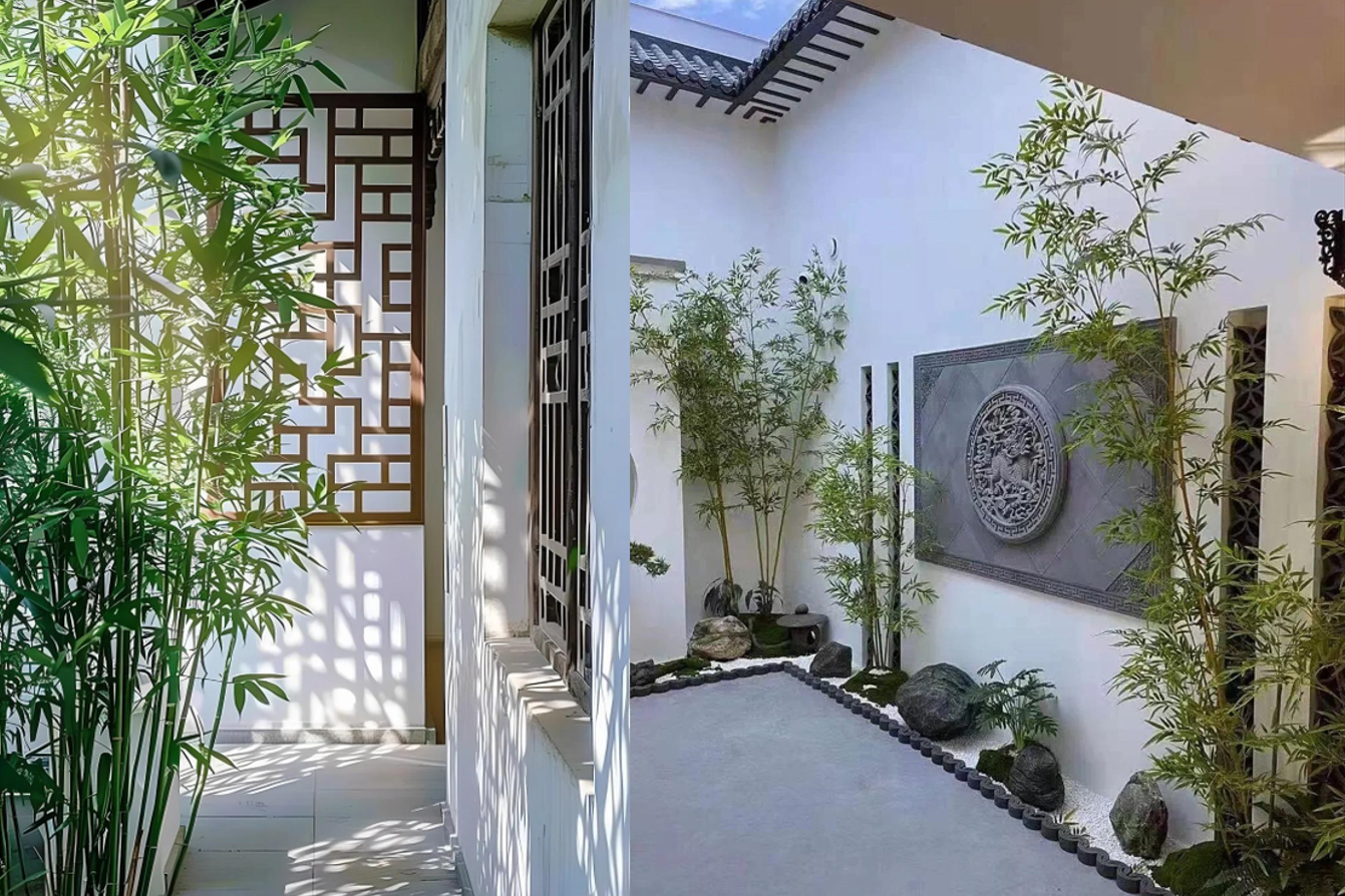 4 vị trí trồng tre trong khuôn viên nhà ở để có lộc