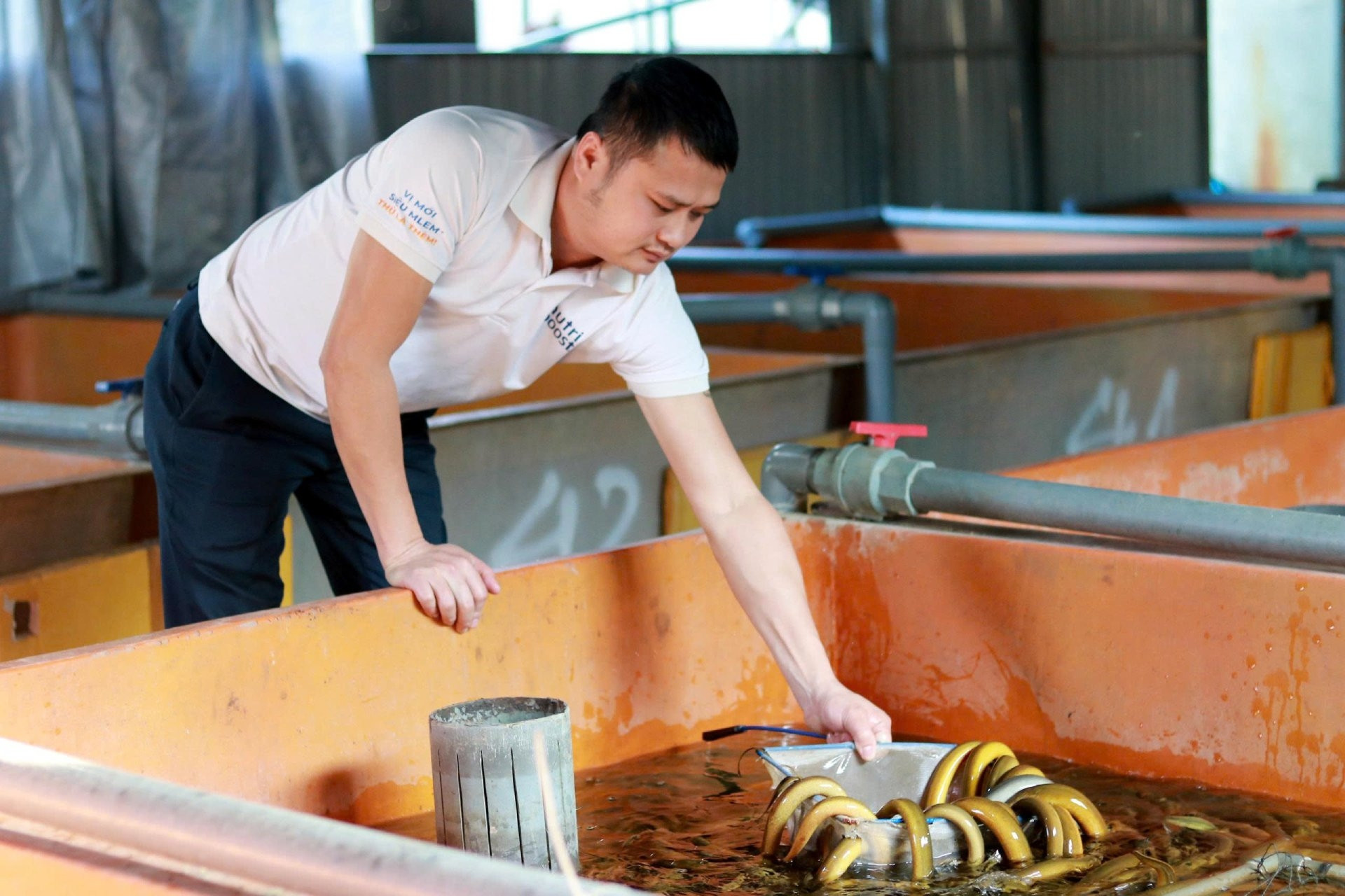 Chàng trai Hà Tĩnh thu hơn 6 tỷ mỗi năm nhờ nuôi lươn kiểu mới