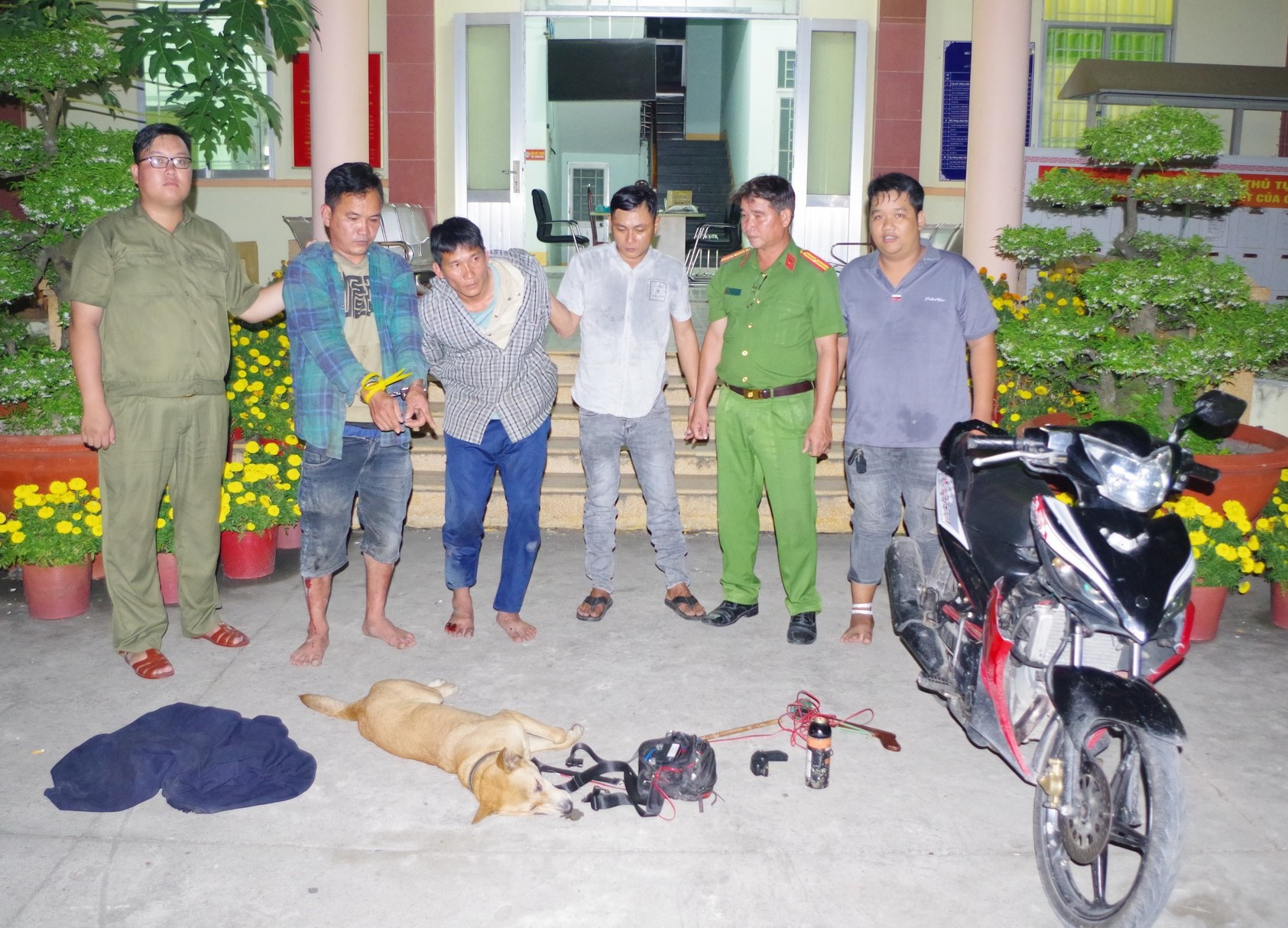 Chó Long Cang đt.jpg