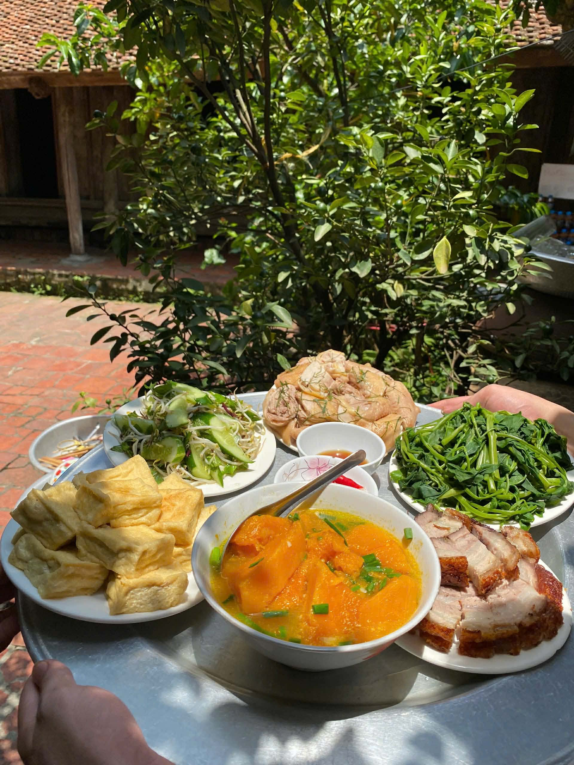 Gà mía Đường Lâm