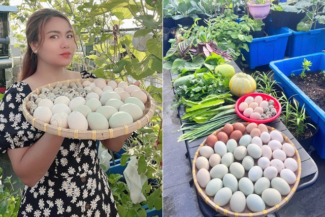 Mẹ đảm Đồng Nai nuôi gà, chim cút, trồng vườn rau xanh mướt trên sân thượng