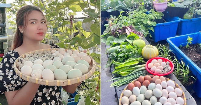 Mẹ đảm Đồng Nai nuôi gà, chim cút, trồng vườn rau xanh mướt trên sân thượng