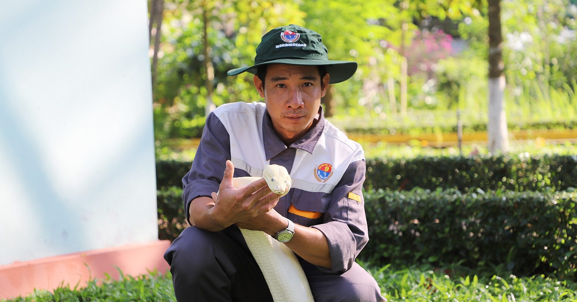 Những con trăn bạch tạng quý hiếm, đẹp lạ trong trại rắn lớn nhất miền Tây