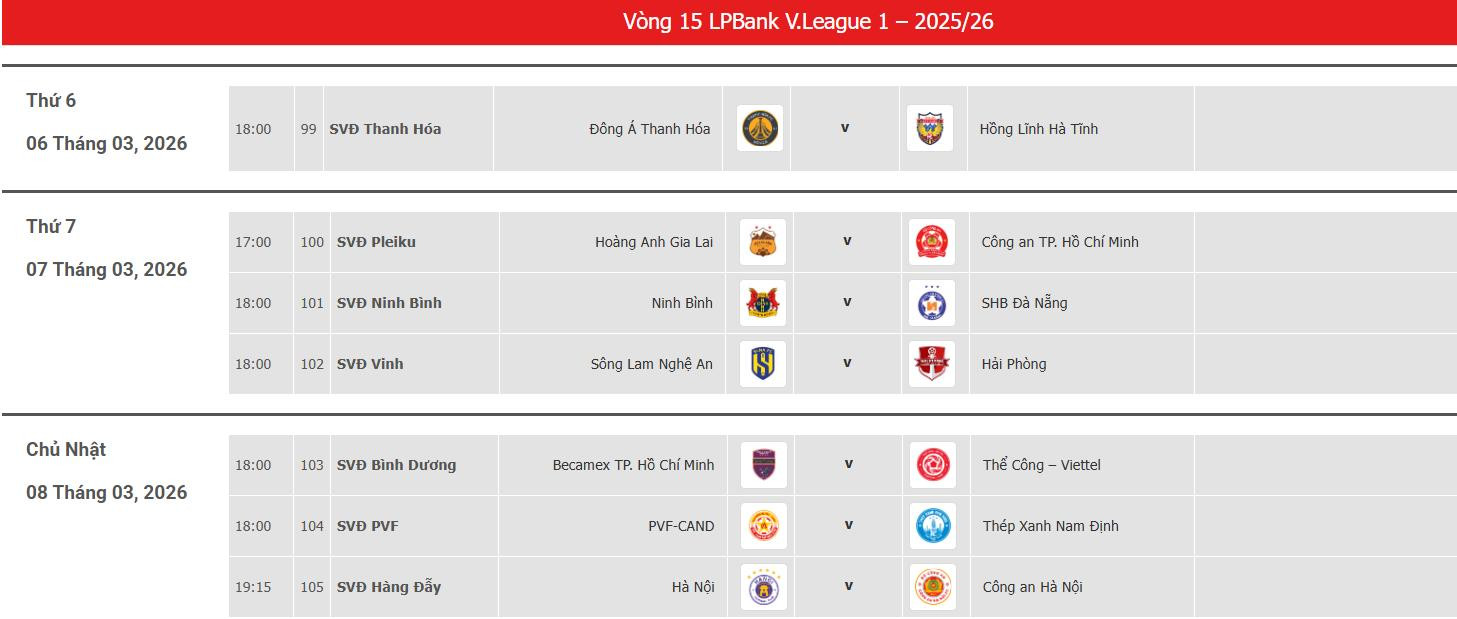 v league vong 15.jpeg