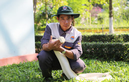 W-Trăn bạch tạng 2.jpg