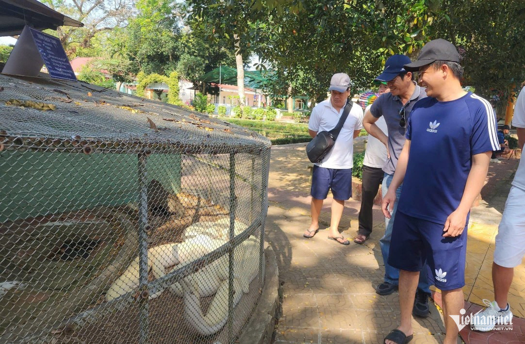 W-Trăn bạch tạng.jpg