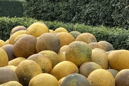 Người đàn ông suy đa tạng sau khi ăn cơm rang vì một lý do 7 loại trái cây giàu chất xơ giúp giảm mỡ máu, ổn định đường huyết