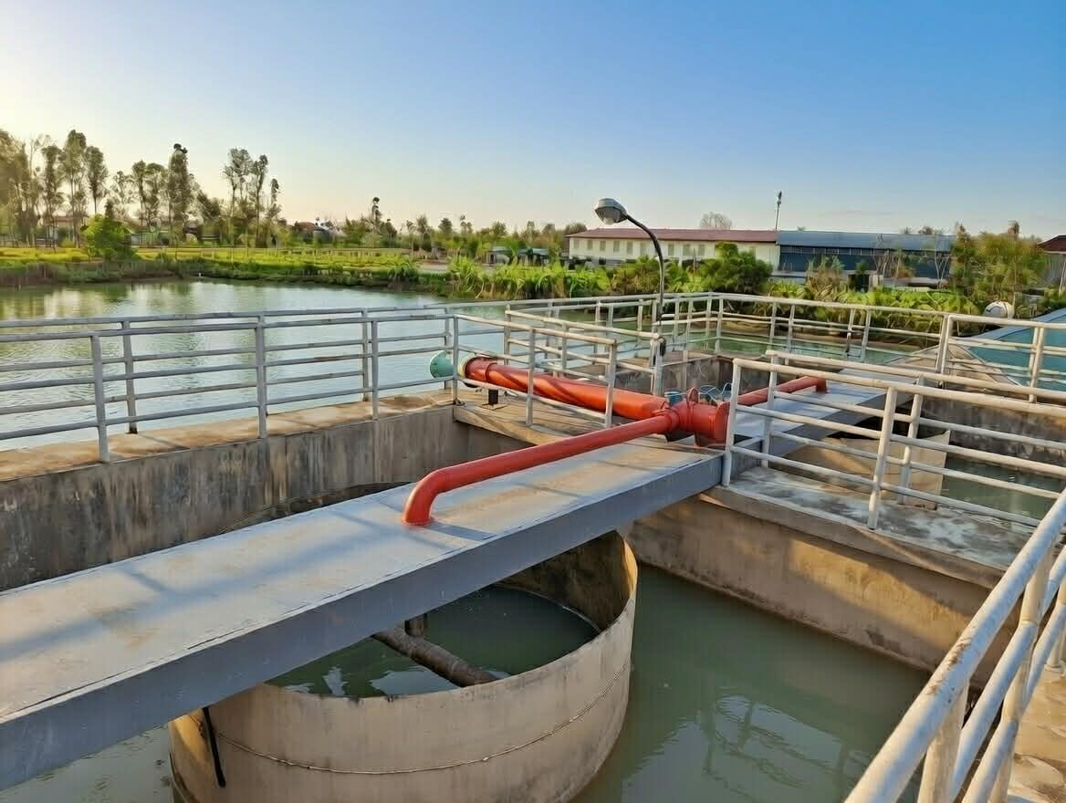 89e09459 0043 459f 8bd6 44f14954ac7c.jpg