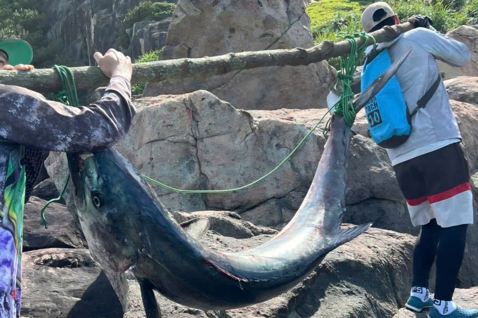 Cần thủ Đà Nẵng câu được cá 'khủng' nặng 63kg ở bán đảo Sơn Trà