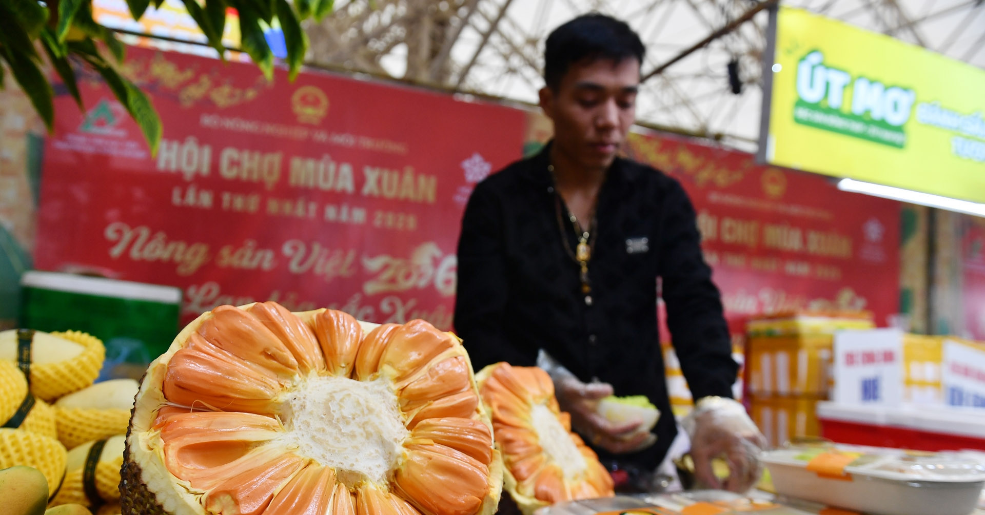 Đi hội chợ Mùa Xuân, mua từ yến sào đến mít khổng lồ