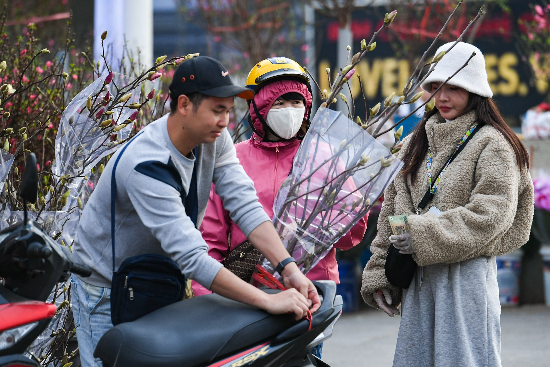  Loại hoa ‘ngủ đông’ mới lạ vừa xuất hiện ở Hà Nội đã gây sốt 