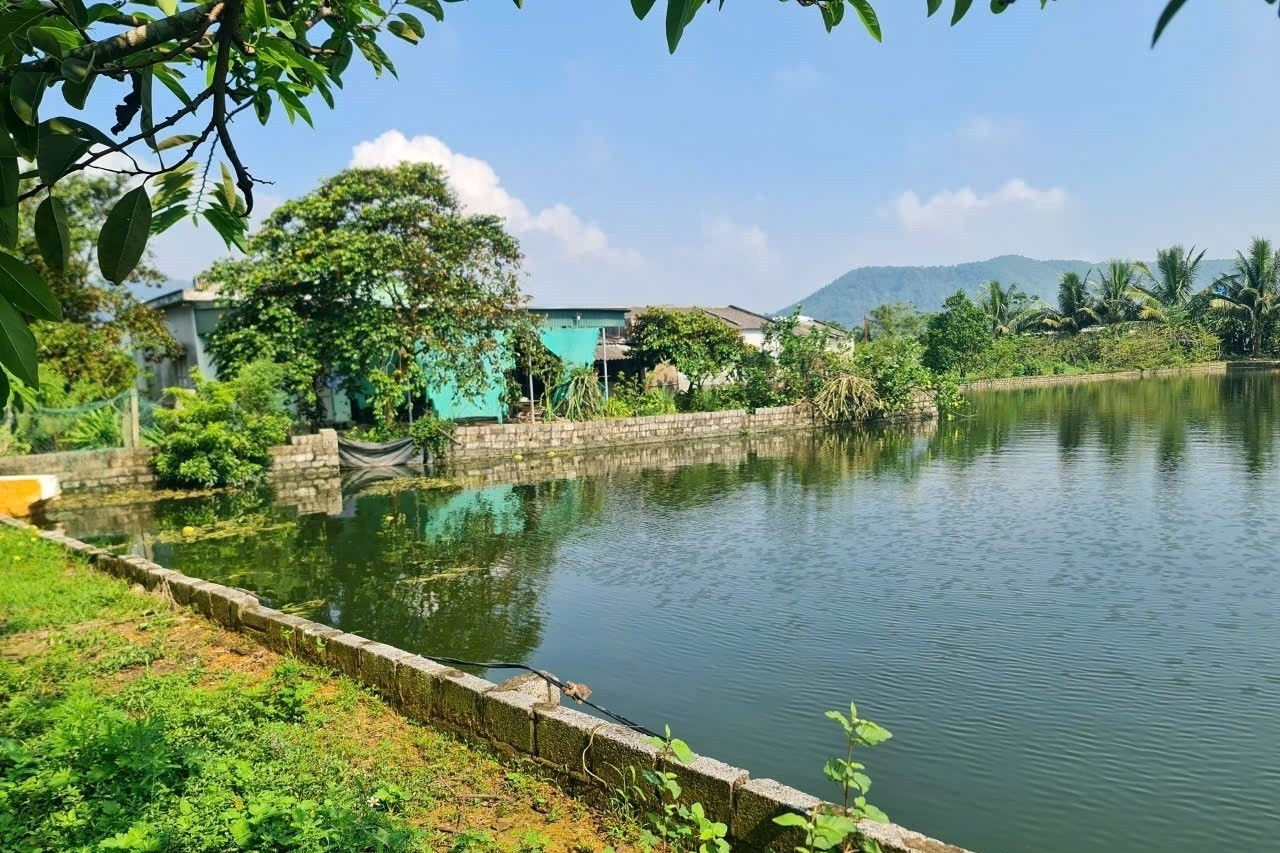 Giá thuê đất công ích 400 triệu đồng/ha/năm, Thanh Hóa xin ý kiến Bộ NN&MT