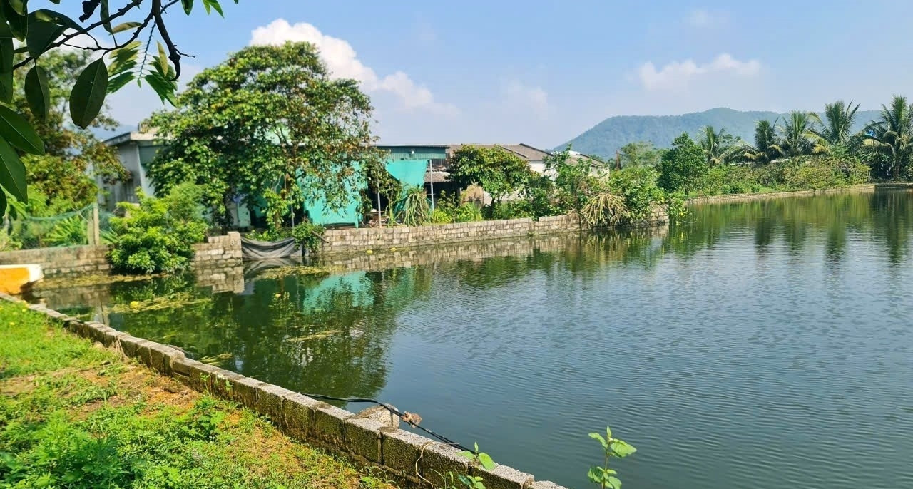 Giá thuê đất công ích 400 triệu đồng/ha/năm, Thanh Hóa xin ý kiến Bộ NN&MT