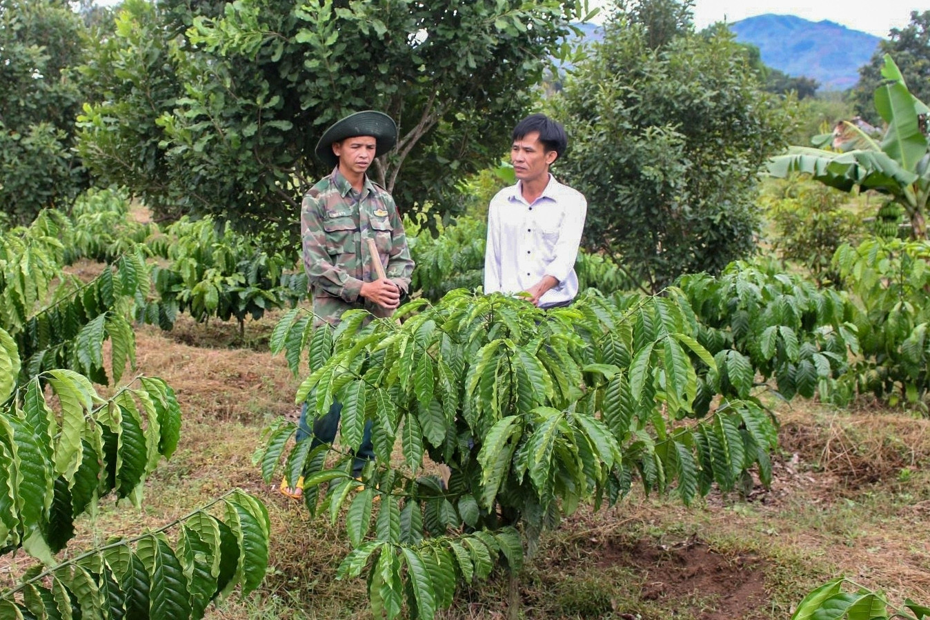 Những bí thư chi bộ trẻ làm thay đổi diện mạo vùng cao Quảng Ngãi