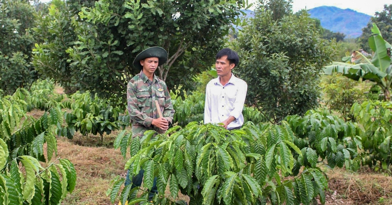 Những bí thư chi bộ trẻ làm thay đổi diện mạo vùng cao Quảng Ngãi