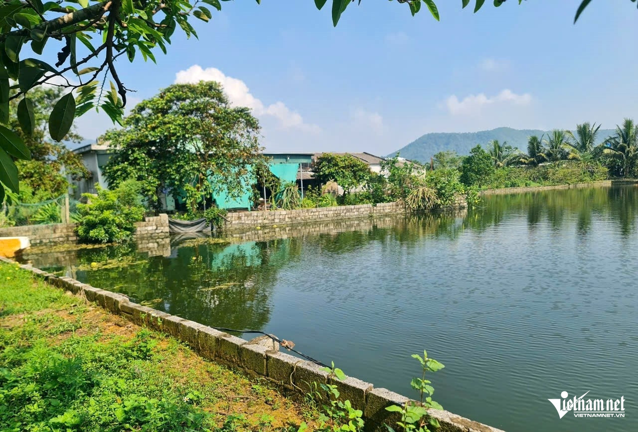 W-a2Hàng loạt trang trại.jpg