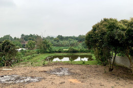 Xây nhà trên đất canh tác nông nghiệp từ 1999, có được cấp sổ đỏ? Xây nhà trên đất ao san lấp từ năm 1993, trưởng thôn có được quyền xác nhận quản lý đất?