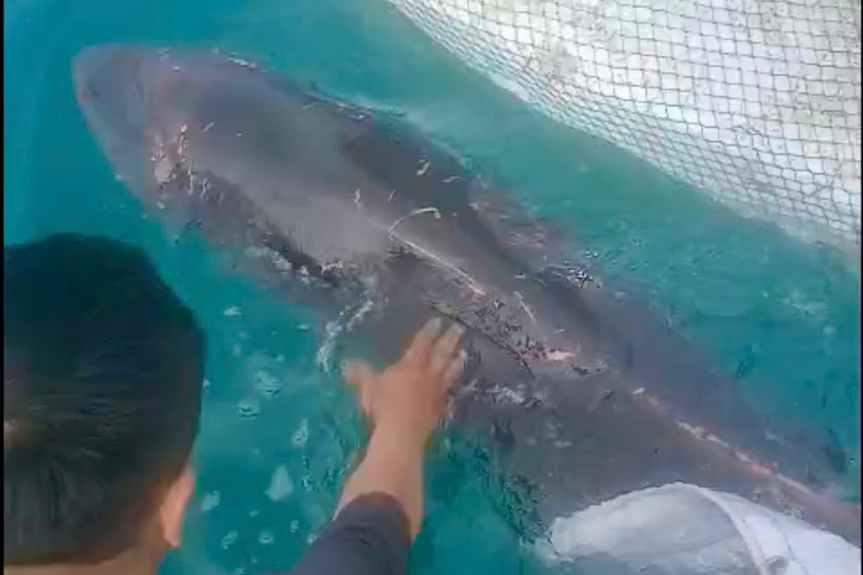 b116bb33 7b7c 4119 8ba0 c55a2c6291d0.jpeg