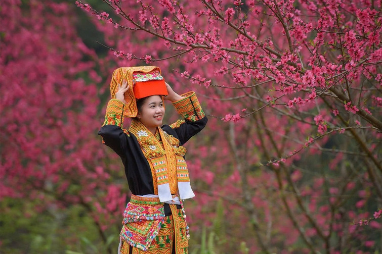Cận tết Nguyên đán, đến Lạng Sơn trải nghiệm lễ hội hoa đào rực rỡ