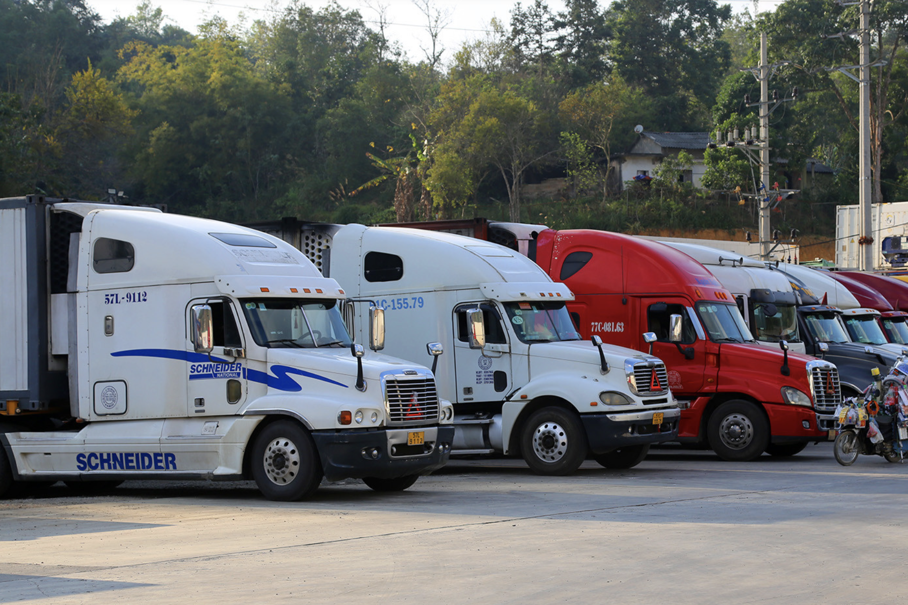 Chuyên gia đề xuất lùi hiệu lực Nghị định 46 để tháo gỡ ách tắc hàng hóa