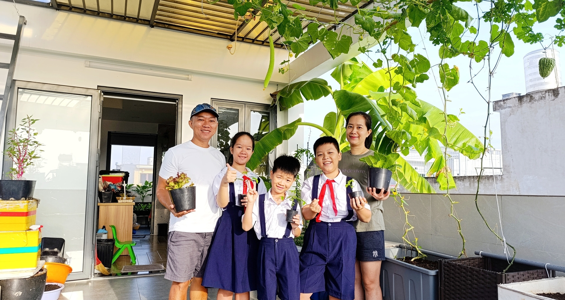 Ông bố 3 con ở TPHCM biến sân thượng từ nhà đến công ty thành vườn rau xanh mướt