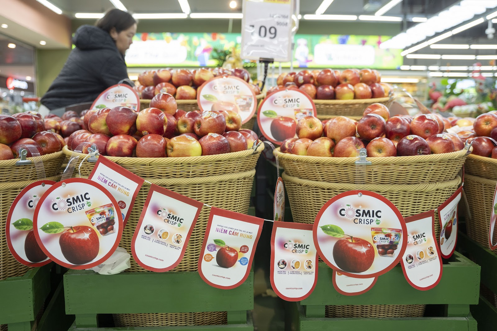 Táo Cosmic Crisp mở màn mùa tiêu thụ 2026 tại TP.HCM