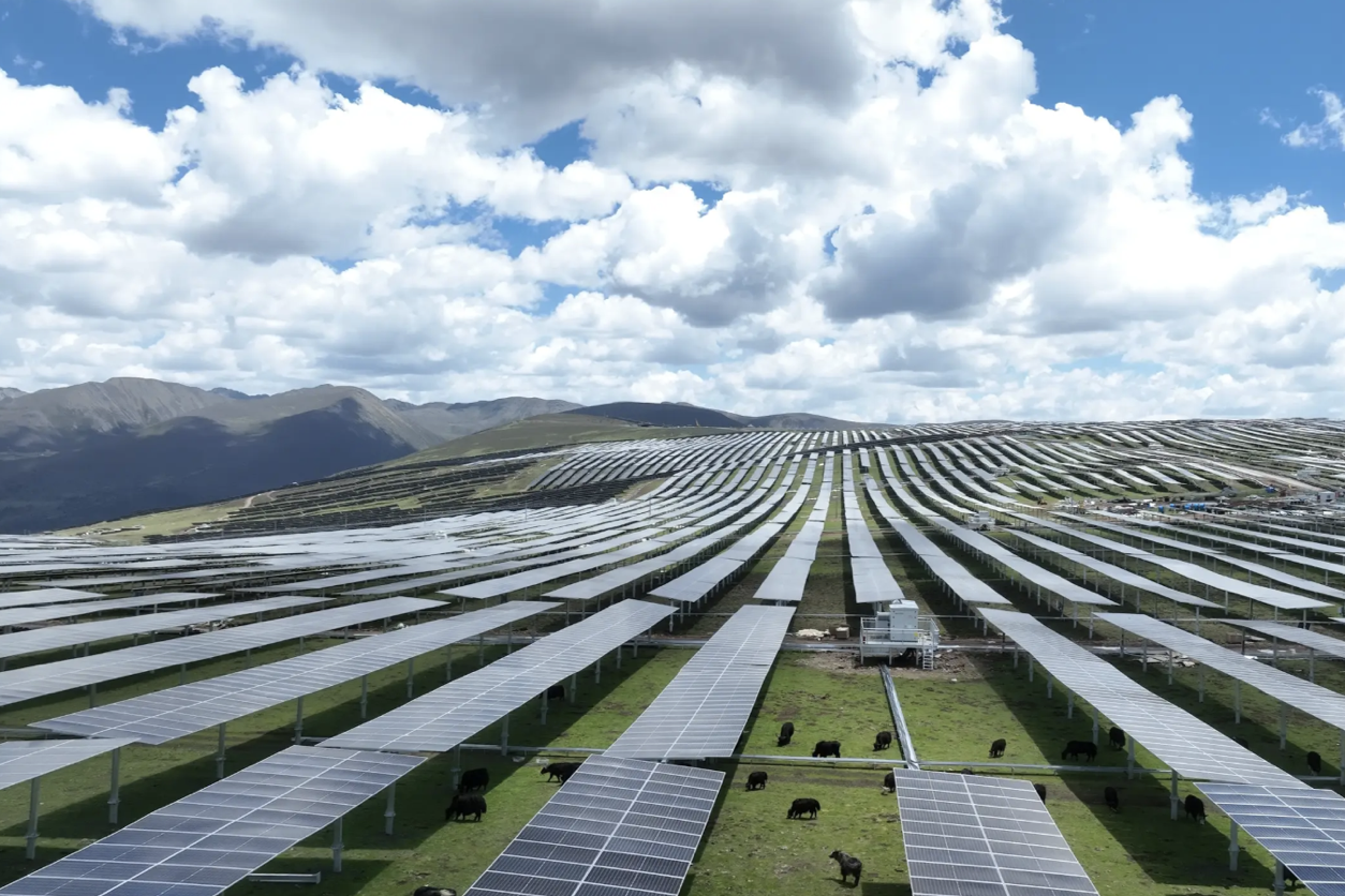 Thêm nhiều ‘ông lớn’ ngành điện mặt trời báo lỗ kỷ lục