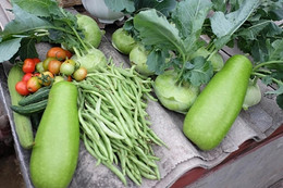 Cà chua rất tốt cho sức khỏe, nhưng 2 nhóm người cần hạn chế ăn Loại thực phẩm có trong bữa ăn của mọi vùng trường thọ