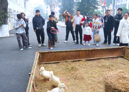 sinh viên chơi Tết (4).JPG