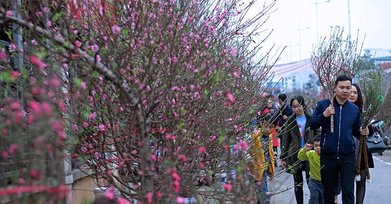 Lịch nghỉ Tết Nguyên đán 2026: Người lao động nghỉ 9 ngày liên tiếp