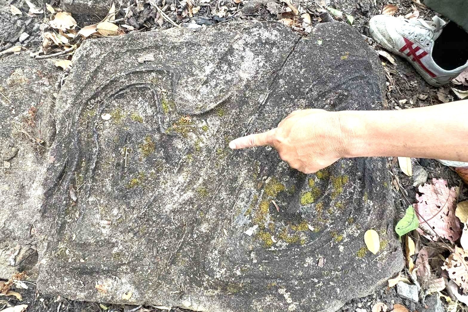  Thông tin mới nhất về 65 viên đá có họa tiết bí ẩn tại Vườn quốc gia Yok Đôn 