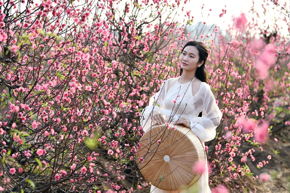 Dự báo thời tiết từ nay đến mùng 6 Tết Nguyên đán trên cả nước