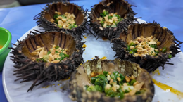 Screenshot 2026 02 03 095745.png