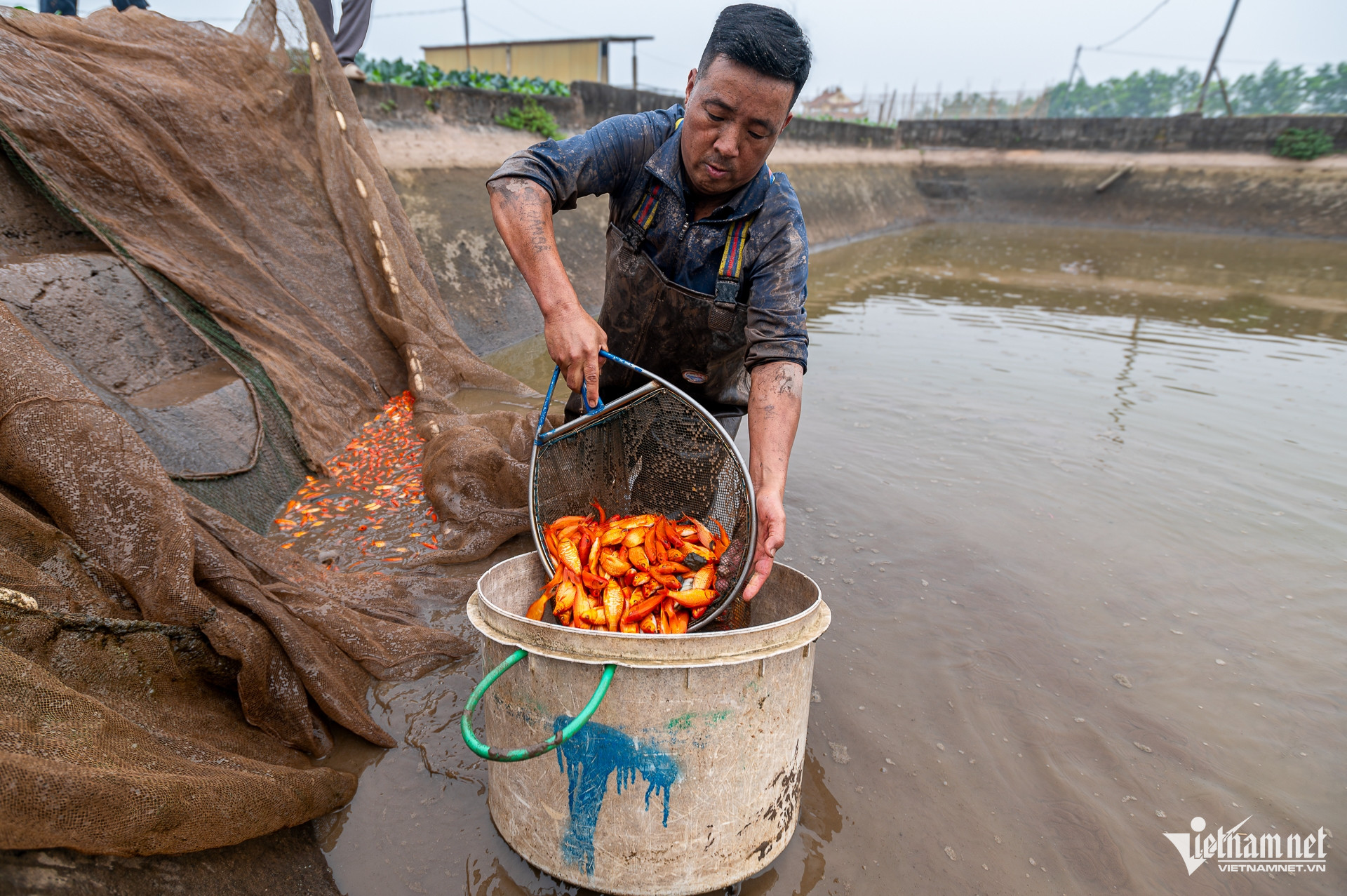 W-cá chép vàng _ ông công ông táo (14 of 32).jpg