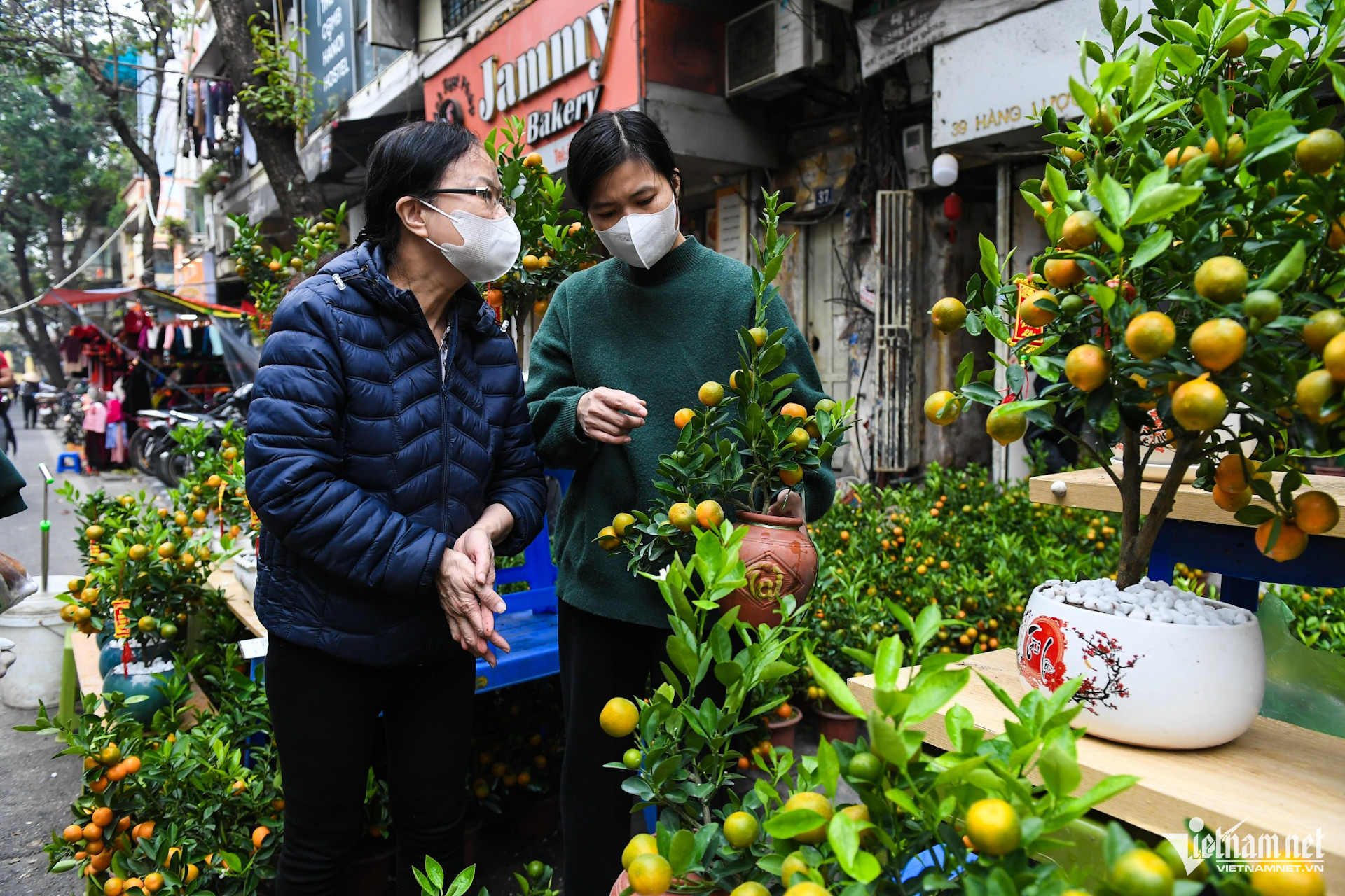 W-cho hoa tet 2026 (5).JPG.jpg