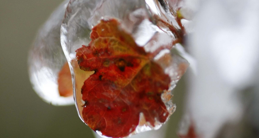 Không khí lạnh về muộn hơn, miền Bắc có thể giảm 8-10 độ vào ngày 8/2