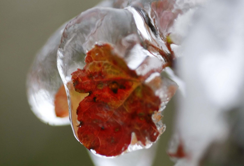 Không khí lạnh về muộn hơn, miền Bắc có thể giảm 8-10 độ vào ngày mai