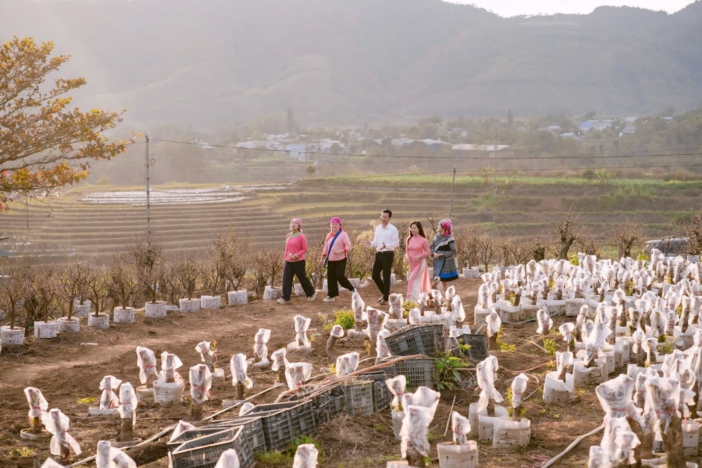 Lai Châu và TikTok Shop phối hợp khởi động mô hình xã thương mại điện tử