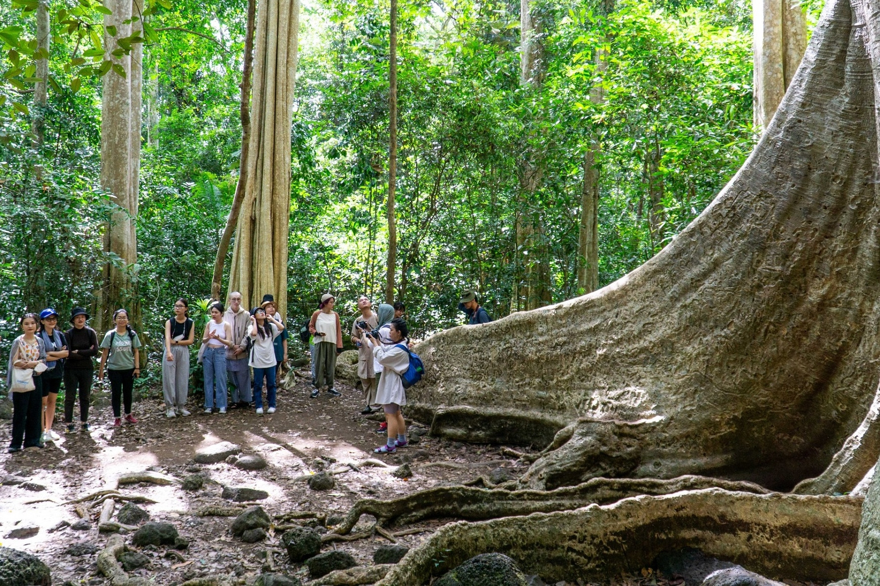 4 địa điểm du lịch gần TPHCM đẹp, nhiều trải nghiệm thú vị dịp tết Bính Ngọ 2026